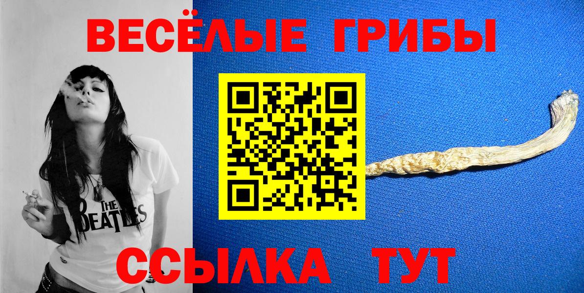 Галлюциногенные грибы Psilocybine cubensis  Псилоцибиновые грибы GOLDEN TEACHER  Вход с VPN  Богородицк 
